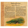 Kájoni Kódex 1634-1671