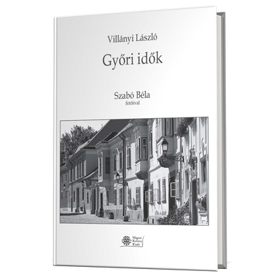 Villányi László: Győri idők