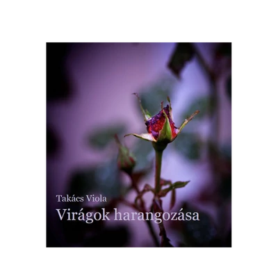Takács Viola: Virágok harangozása