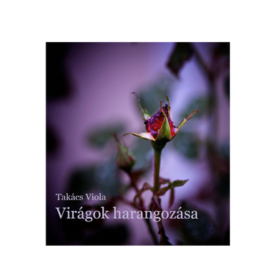 Takács Viola: Virágok harangozása